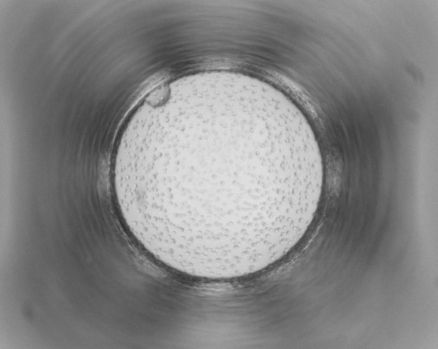 X0000115301186200912141110