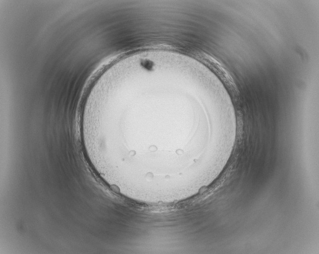 X0000115301188200912141110