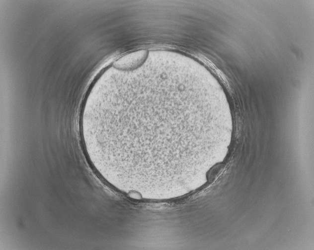 X0000115301189200912141110