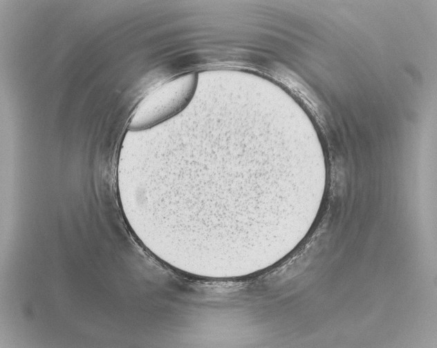 X0000115301193200912141110