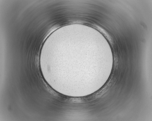 X0000115301194200912141110