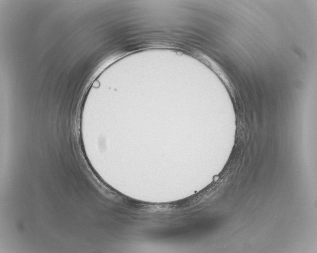 X0000115301195200912141110