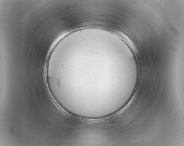 X0000115301196200912141110