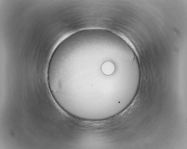 X0000115301197200912141110