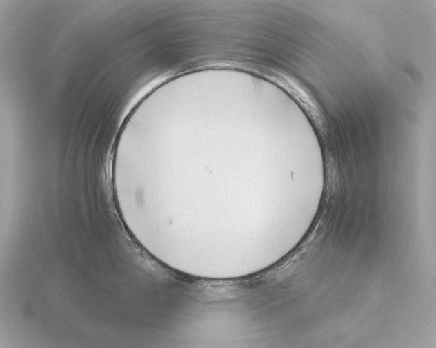 X0000115301198200912141110