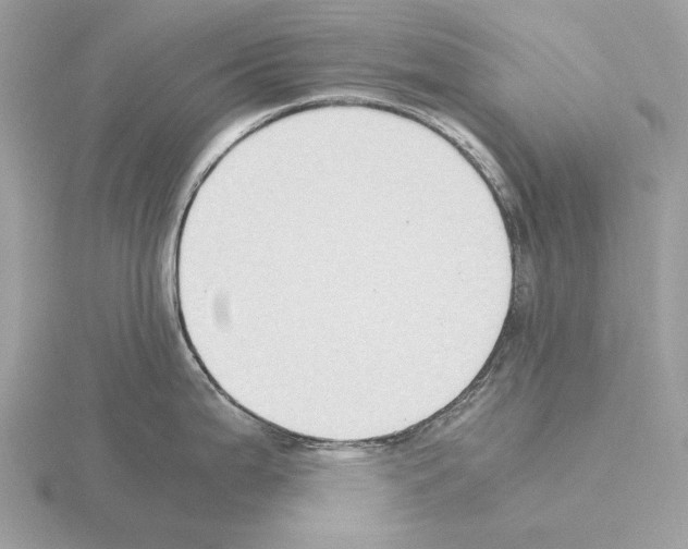 X0000115301199200912141110