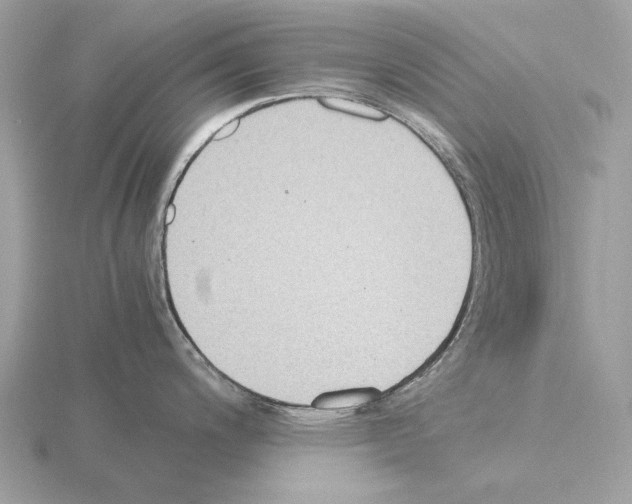 X0000115301200200912141110