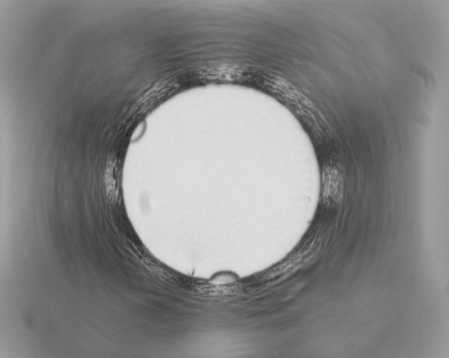 X0000115301202200912141109