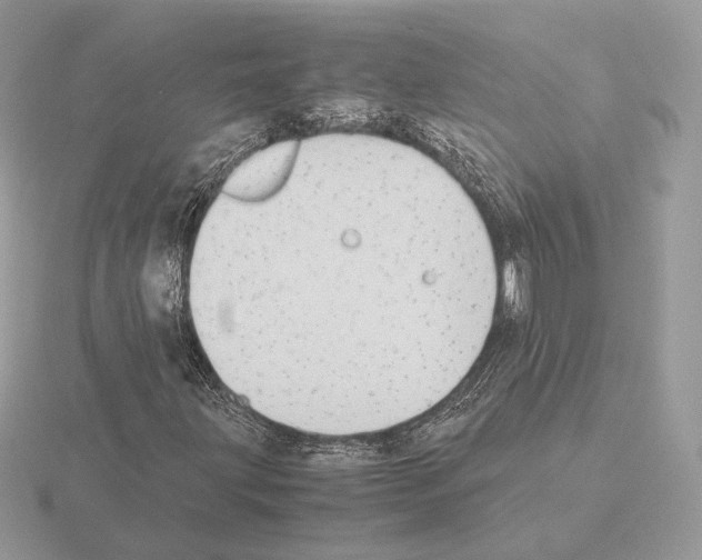 X0000115301203200912141109