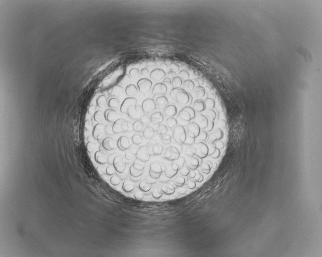 X0000115301205200912141109