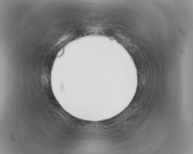 X0000115301206200912141109