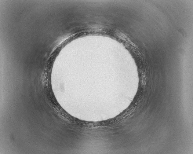 X0000115301208200912141109