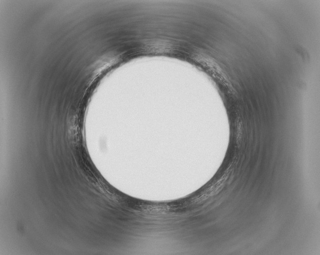 X0000115301210200912141109