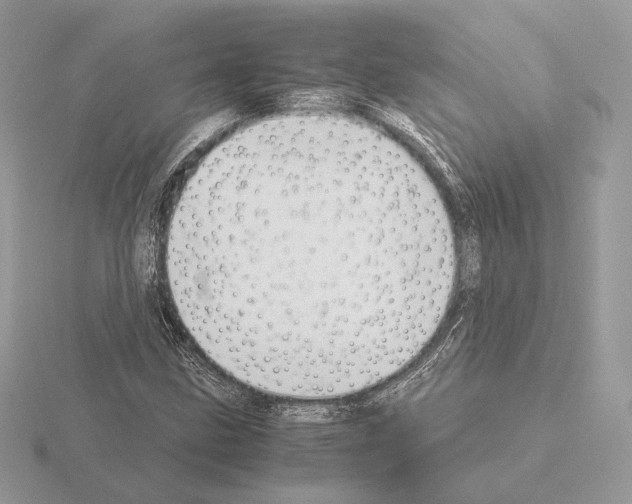 X0000115301211200912141109