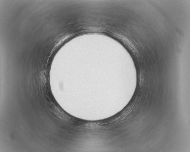 X0000115301212200912141109