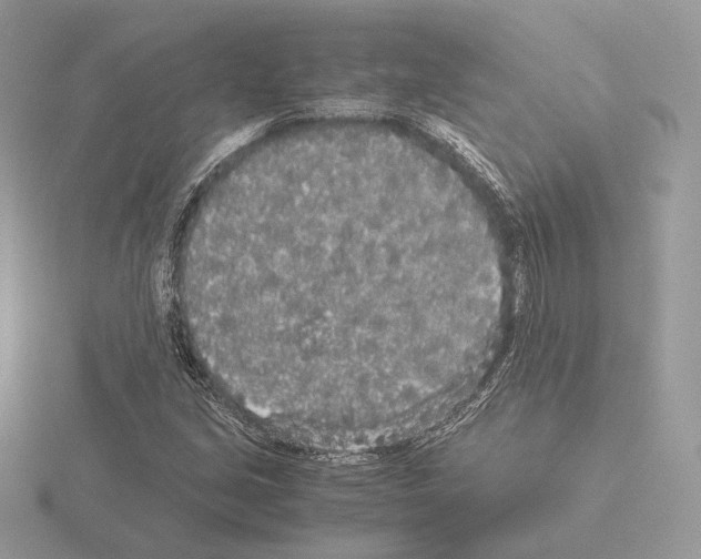 X0000115301213200912141109