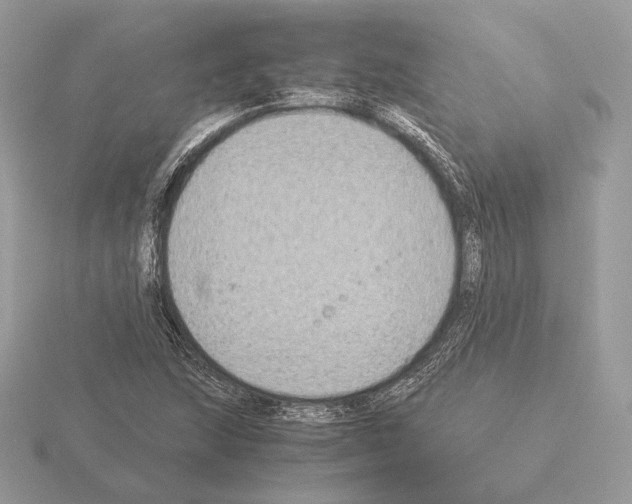 X0000115301215200912141109