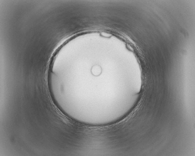 X0000115301216200912141109