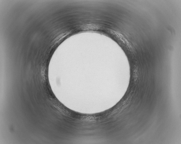 X0000115301217200912141109