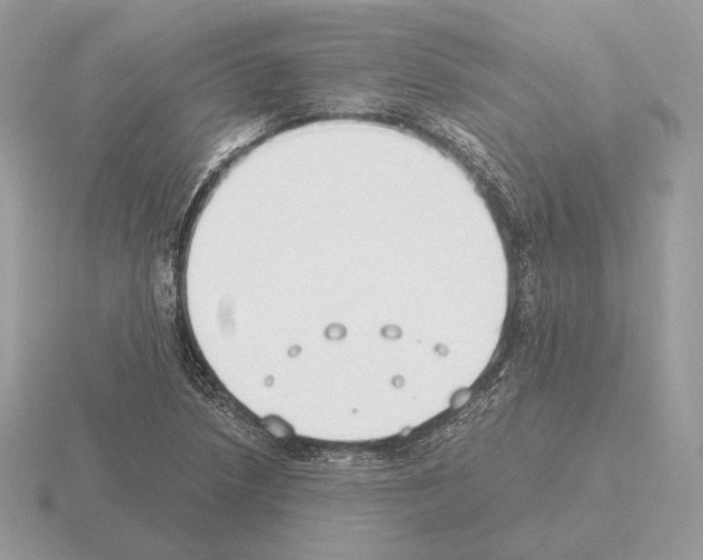 X0000115301218200912141109