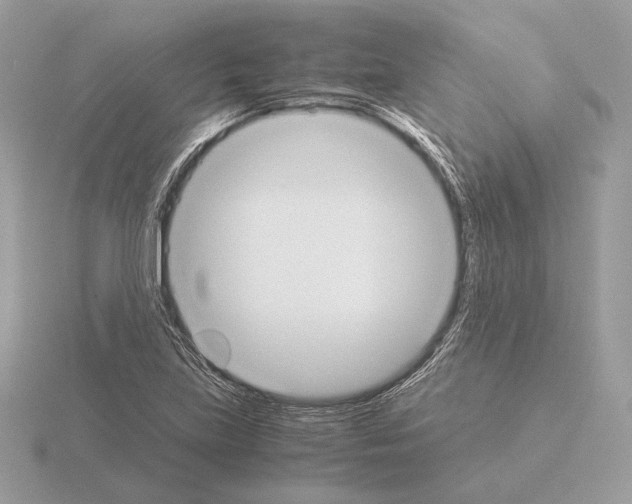 X0000115301219200912141109