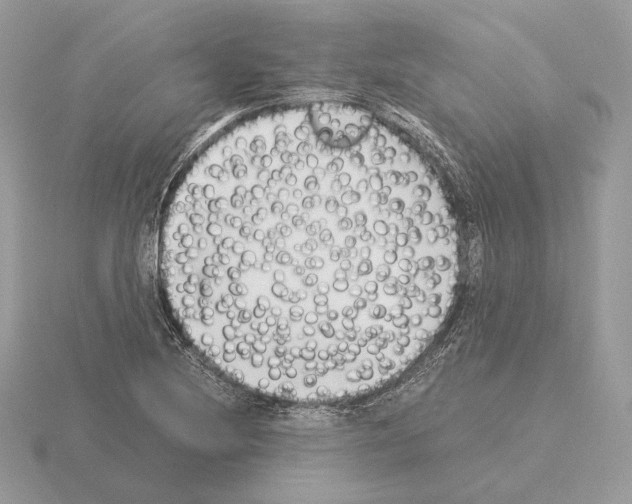 X0000115301220200912141109