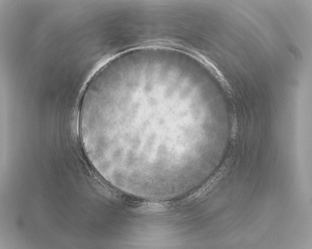 X0000115301224200912141110