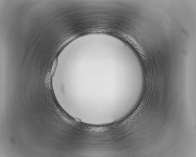 X0000115301225200912141110