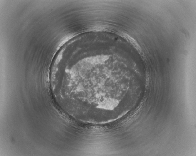 X0000115301226200912141110