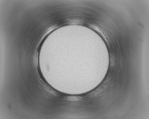 X0000115301227200912141110