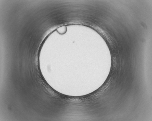 X0000115301230200912141110