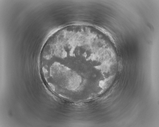 X0000115301231200912141110