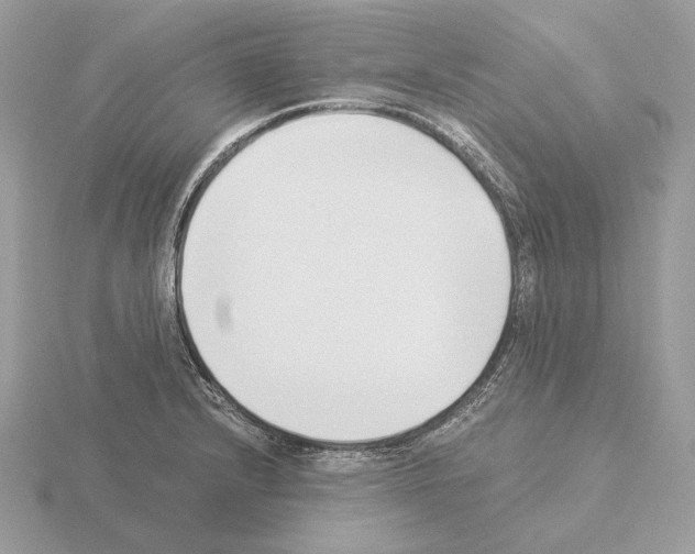 X0000115301232200912141110