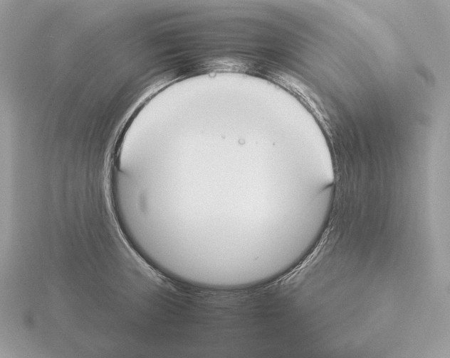 X0000115301235200912141110