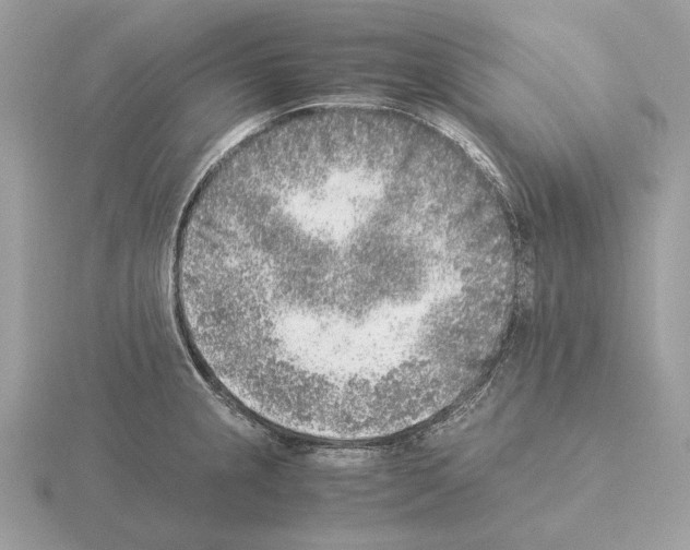 X0000115301237200912141110