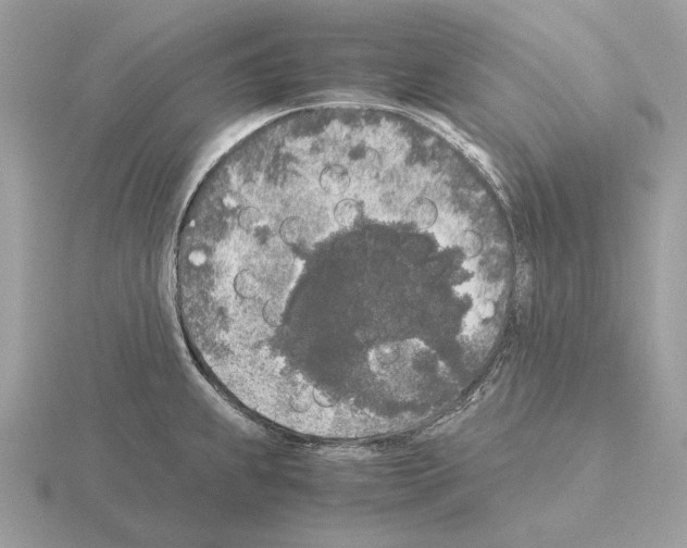 X0000115301239200912141110