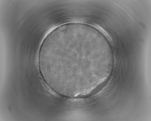 X0000115301240200912141110