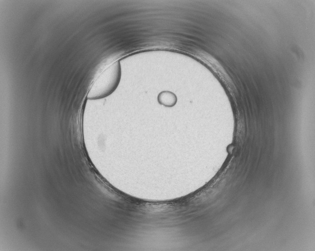 X0000115301242200912141110