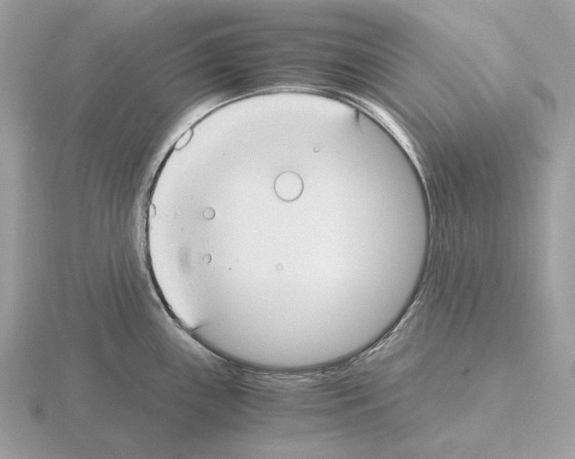 X0000115301243200912141110