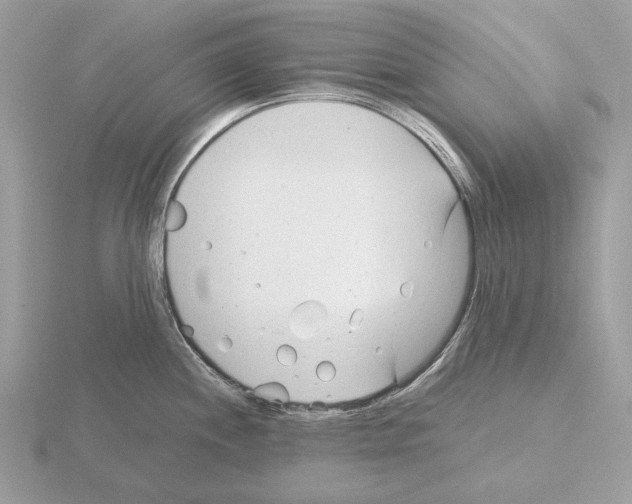 X0000115301244200912141110