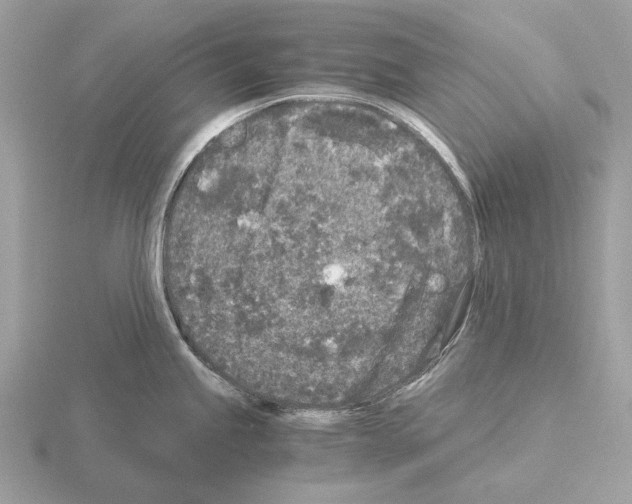 X0000115301245200912141110