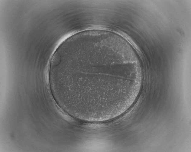 X0000115301246200912141110