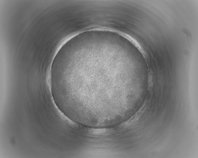 X0000115301247200912141110