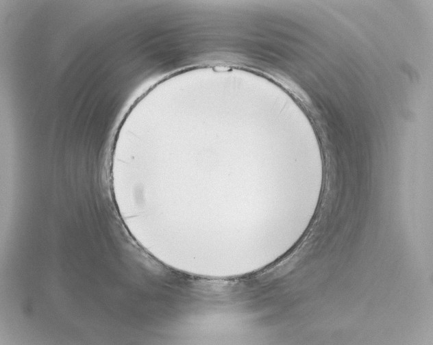 X0000115301248200912141110