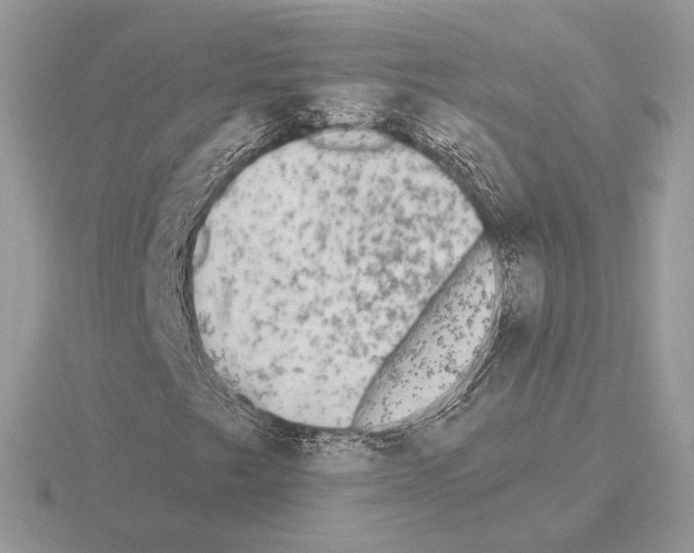 X0000115301249200912141109