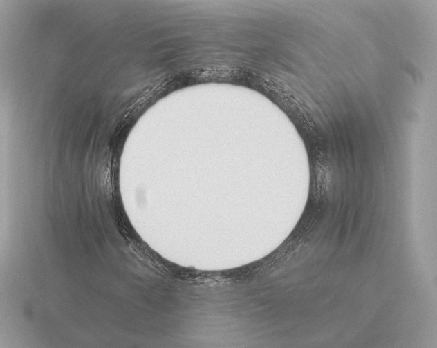 X0000115301250200912141109