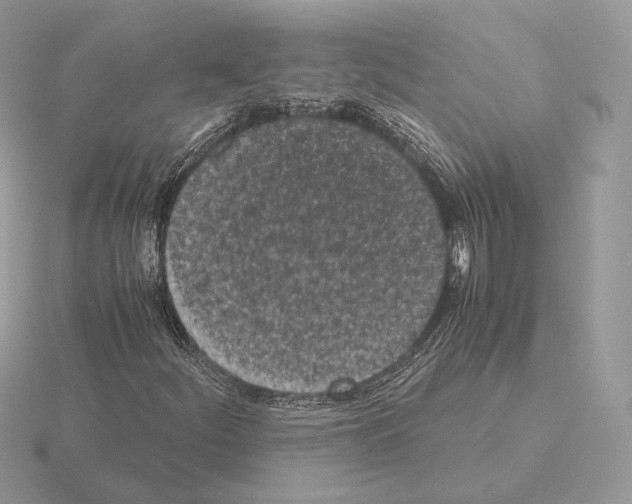 X0000115301252200912141109