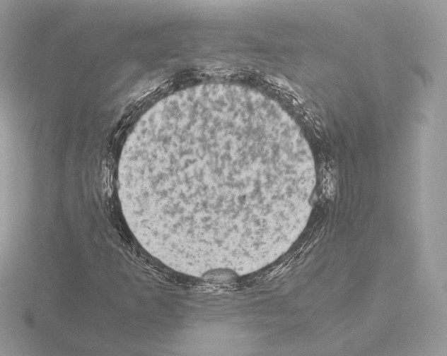 X0000115301253200912141109