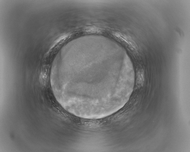 X0000115301254200912141109