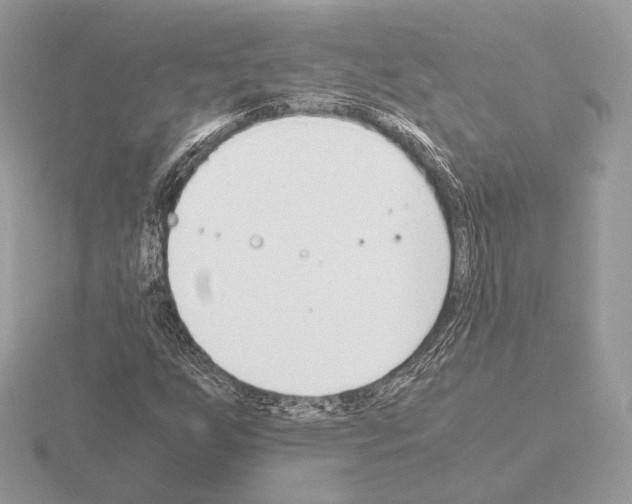 X0000115301255200912141109